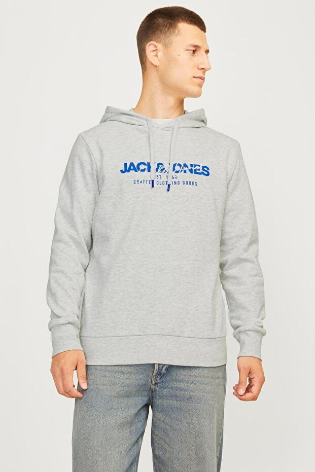 Men's Hooded Sweatshirt with Chest Logo Print - Alvis