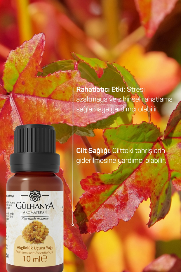 10ml Eclipse Essential Oil - 2