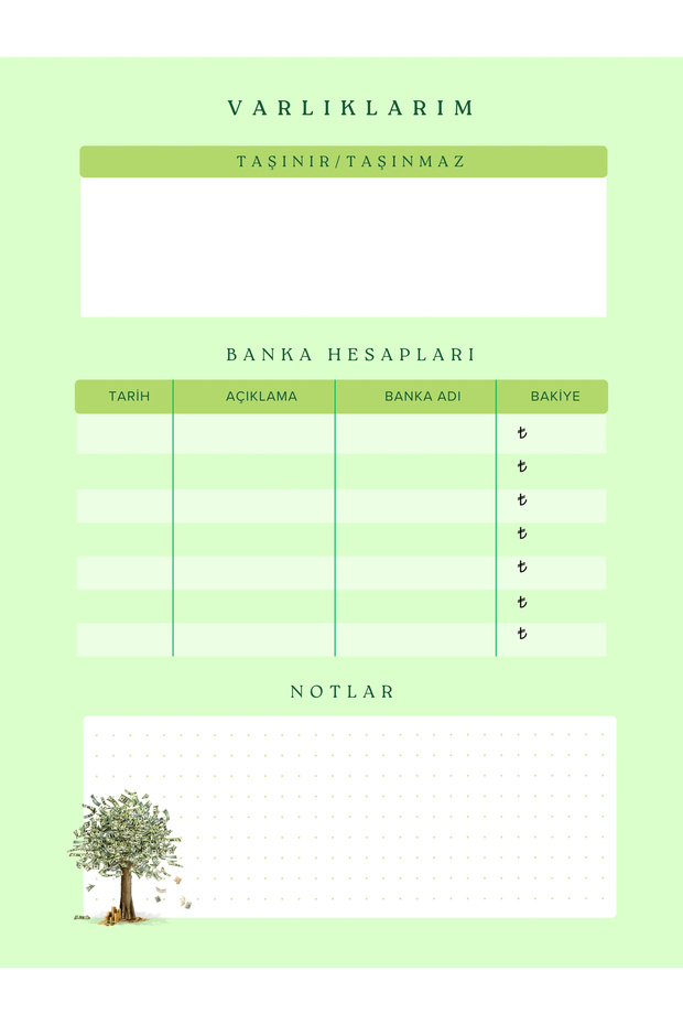 Bütçe Planlama Defteri - 3