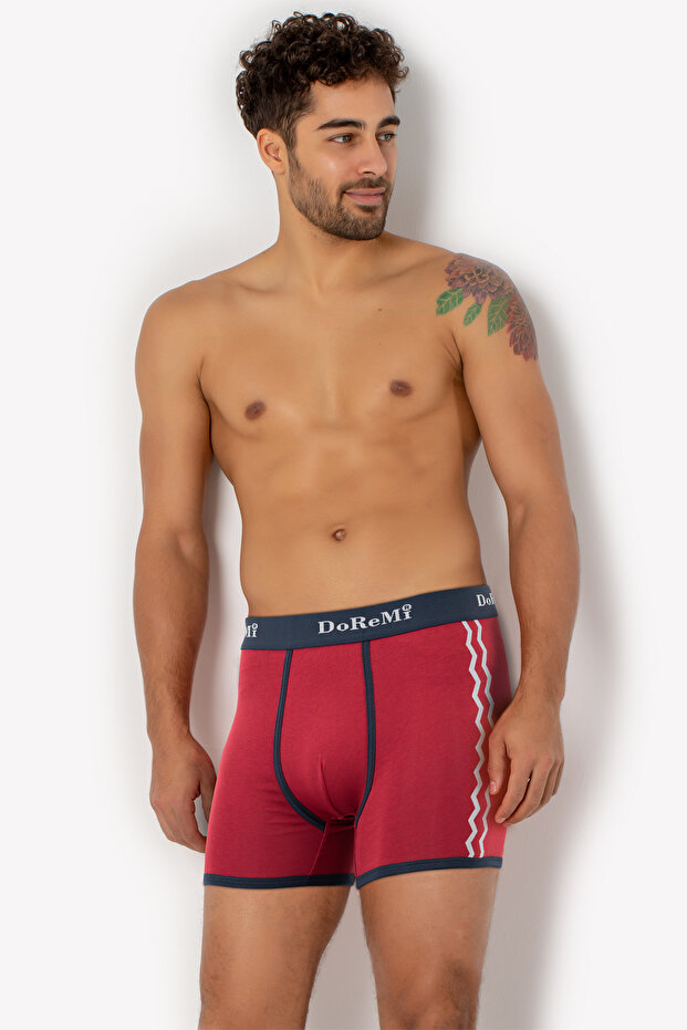 Erkek Boxer-713 - 2