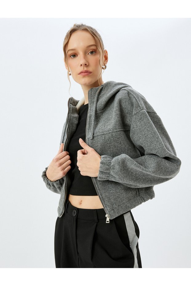 Hooded Zippered Crop Sweatshirt with Stitching Detail