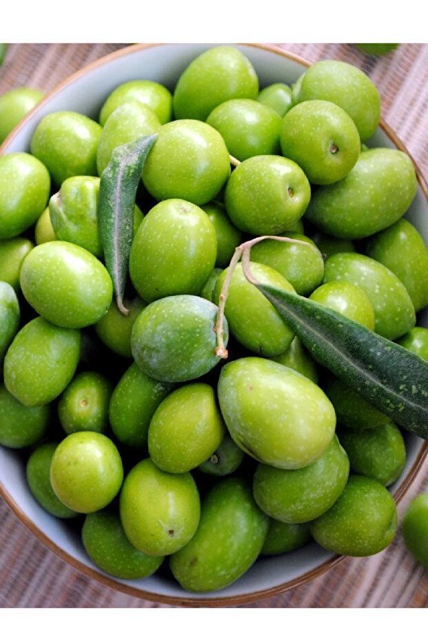 4 Çeşit Karışık Meyve Fidanı Zeytin  , Badem , Antep Fıstığı ve Ayva - 6