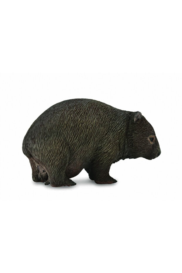Wombat M - Ειδώλιο Ζώου - 1