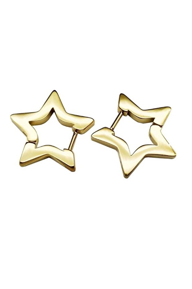 Surgical Steel Flat Star Earrings Non-Tarnish Anti-Allergic