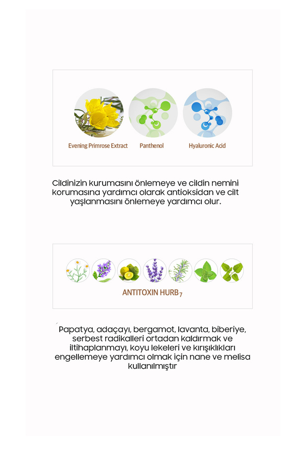 Bb Cream Skin Filter Bb Cream with High Coverage and Skin Care Effect Spf50 Pa Protector - 8