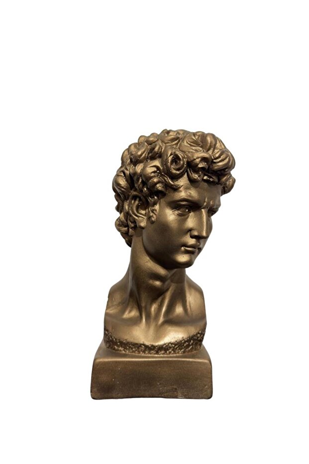 David Bronz Büst - 4