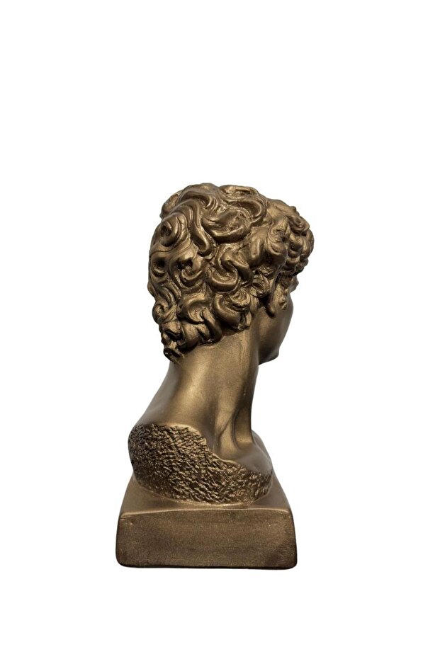 David Bronz Büst - 5