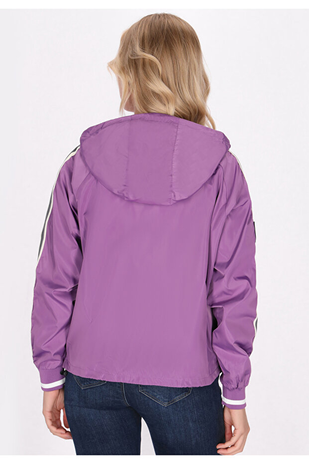 Μπλούσον - 4