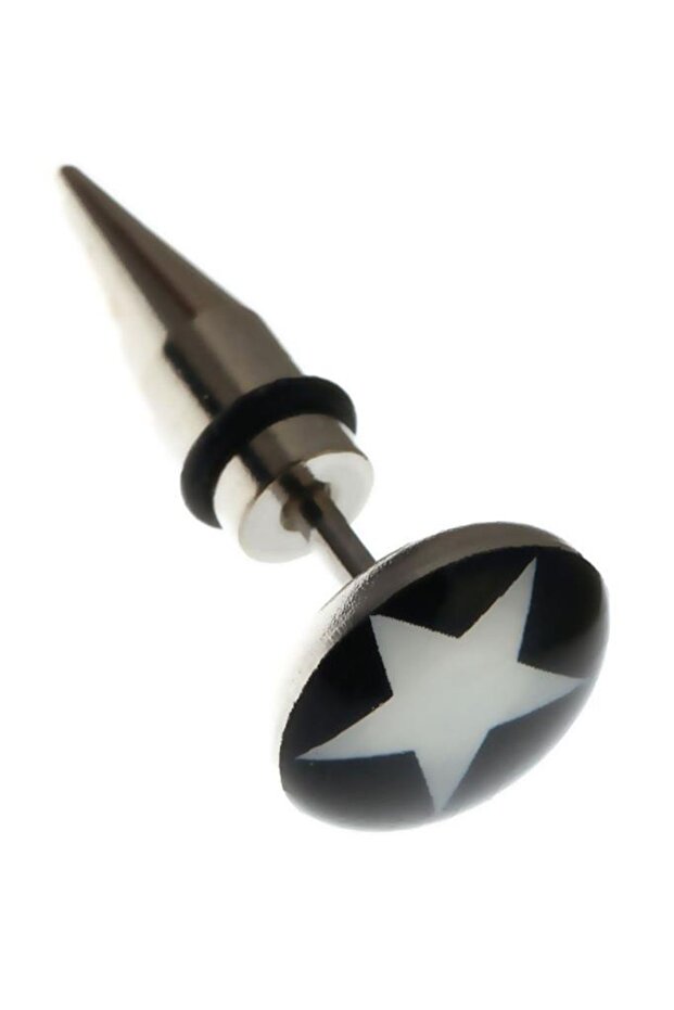 316 L Steel Star Figure Tapers Earrings