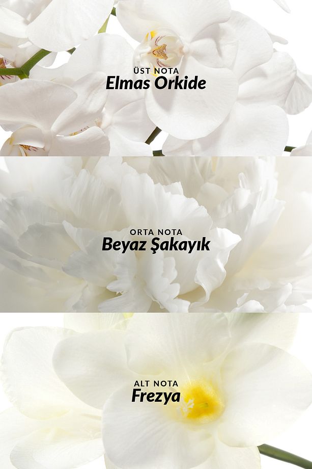 Incandessence Kadın Parfüm Edp 50 Ml. Üçlü Set - 4
