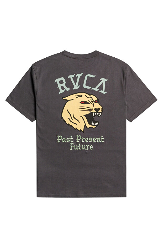 التميمة إس إس المحملة - 2