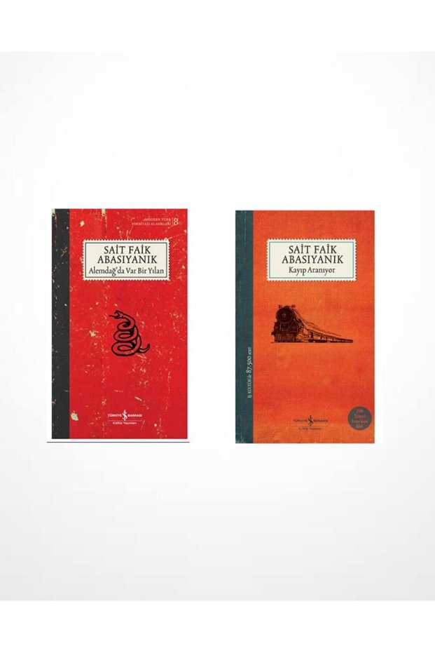 There's a Snake in the Mountains - Wanted: Lost and Looking for Help (Sait Faik Abasıyanık)