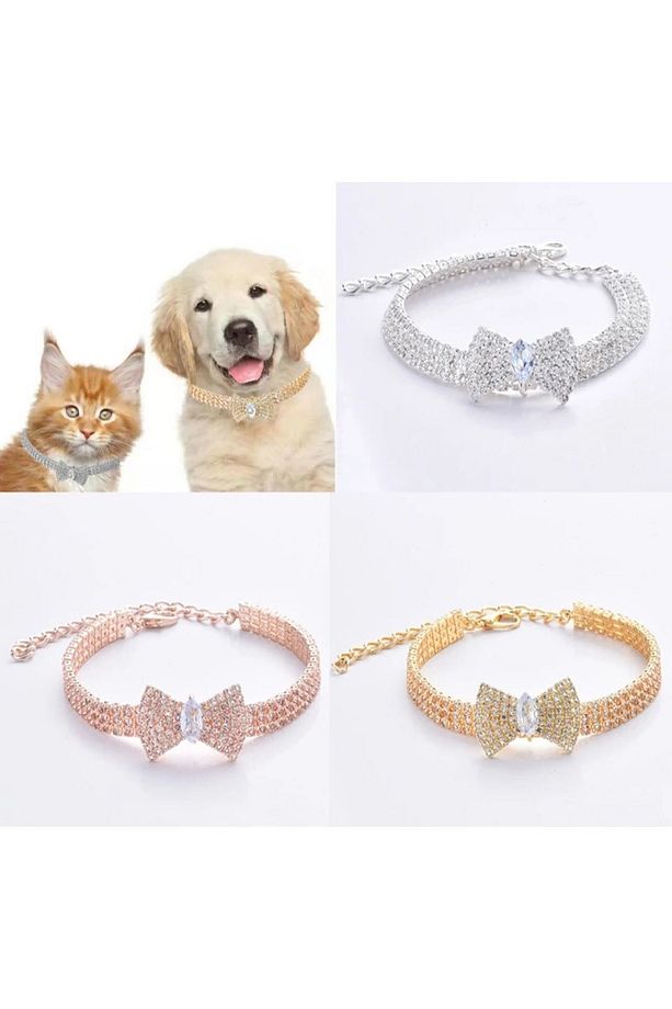 Altın Kaplama Zirkon Taşlı Kedi Ve Köpek Tasması - 6