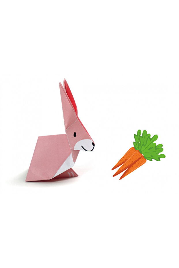 Origami - Animale de companie - nivel 1 - 7