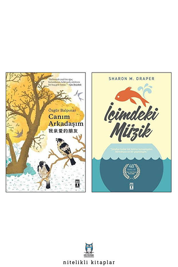 Canım Arkadaşım - İçimdeki Müzik/Sharon M. Draper