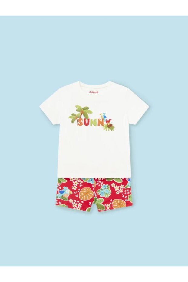 Baby Boy Shorts Swimwear T-Shirt Set 1648