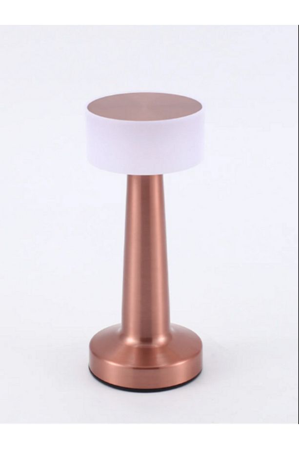 Rose Dekoratif Şarjlı Dokunmatik Led Masa Lambası Usb Kablolu Abajur Ve Gece Lambası - 3