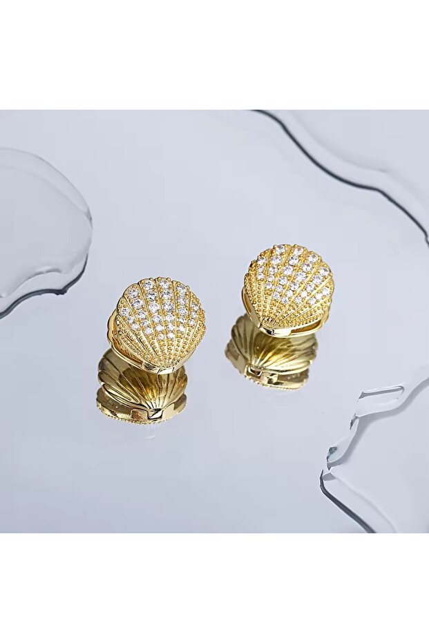 Zircon Stone, Clamshell Model, Steel, Antiallergic, Stylish Earrings