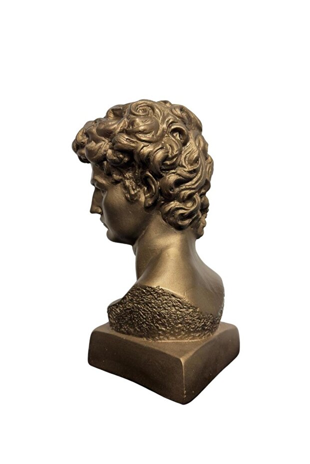 David Bronz Büst - 6