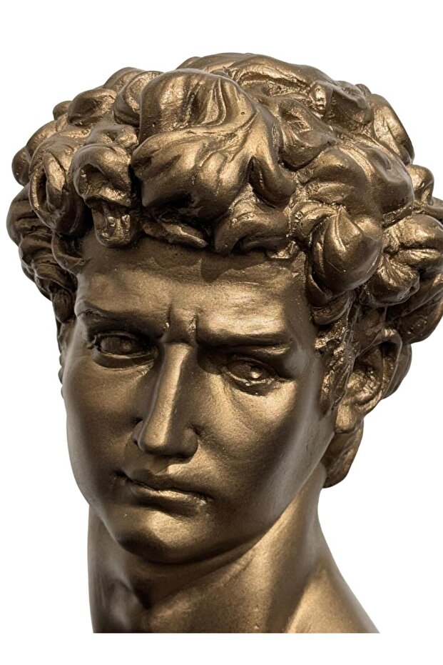 David Bronz Büst - 3