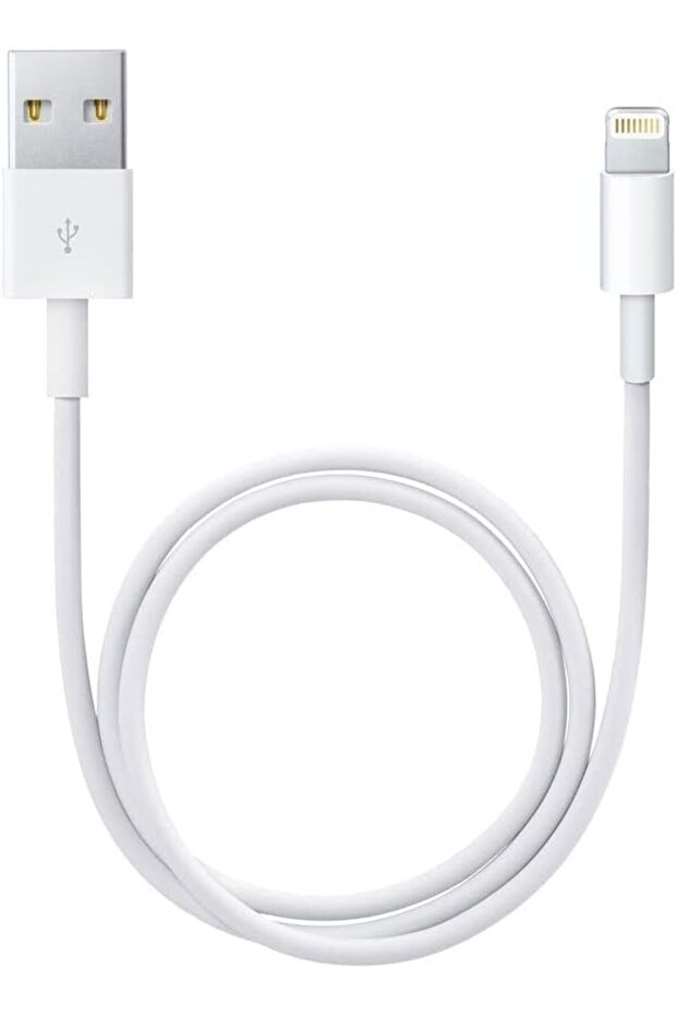 LIGHTNING TO USB 0.5M - 3