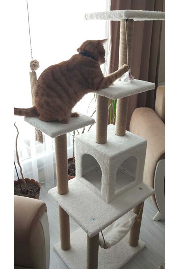 Luxury Cat Scratching and Play Platform - with Hammock and Nest