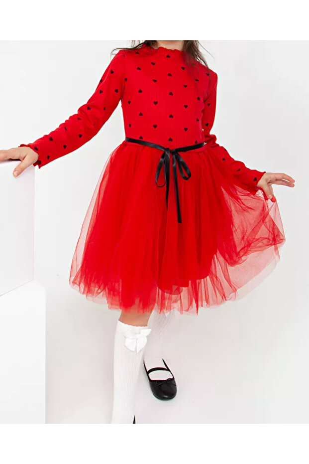 Fluffy Tulle Flexible Lycra Heart Printed Princess Tutu Dress