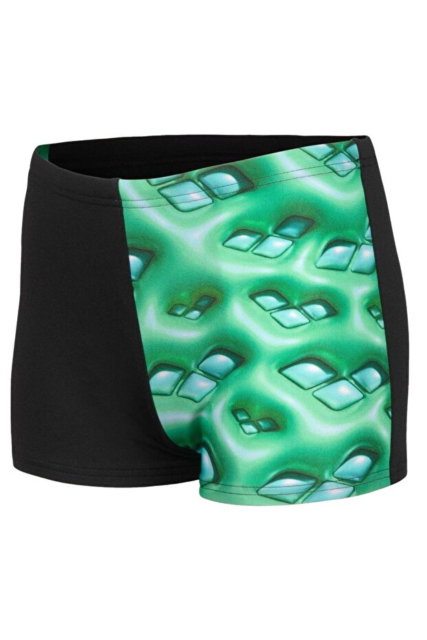 Logo Graphic Boys Swimming Swim 008173560