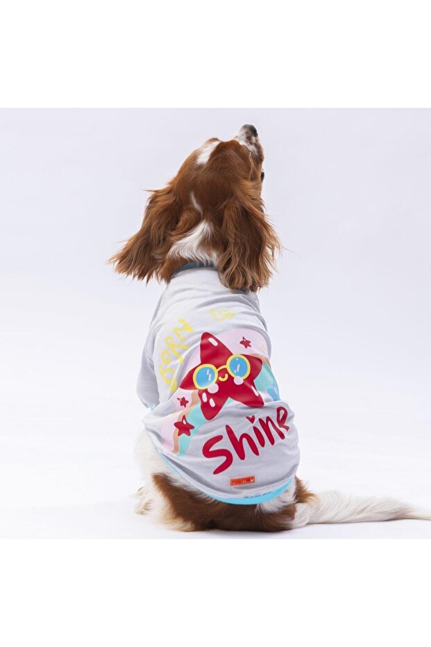 Gray Shine Cat Dog Sweati - Cat Dog Outfit