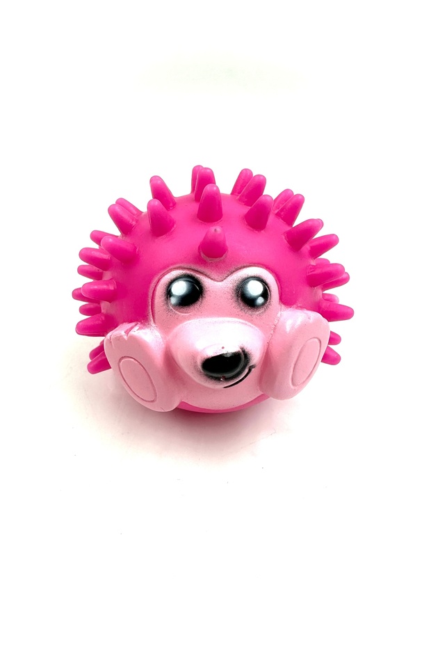 Sound Hedgehog Ball Teether Dog Toy