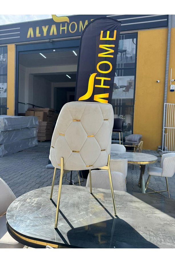 Mutfak Salon Ofis Yemek Masası Sandalyesi (6ADET) Lüx Quality - 1
