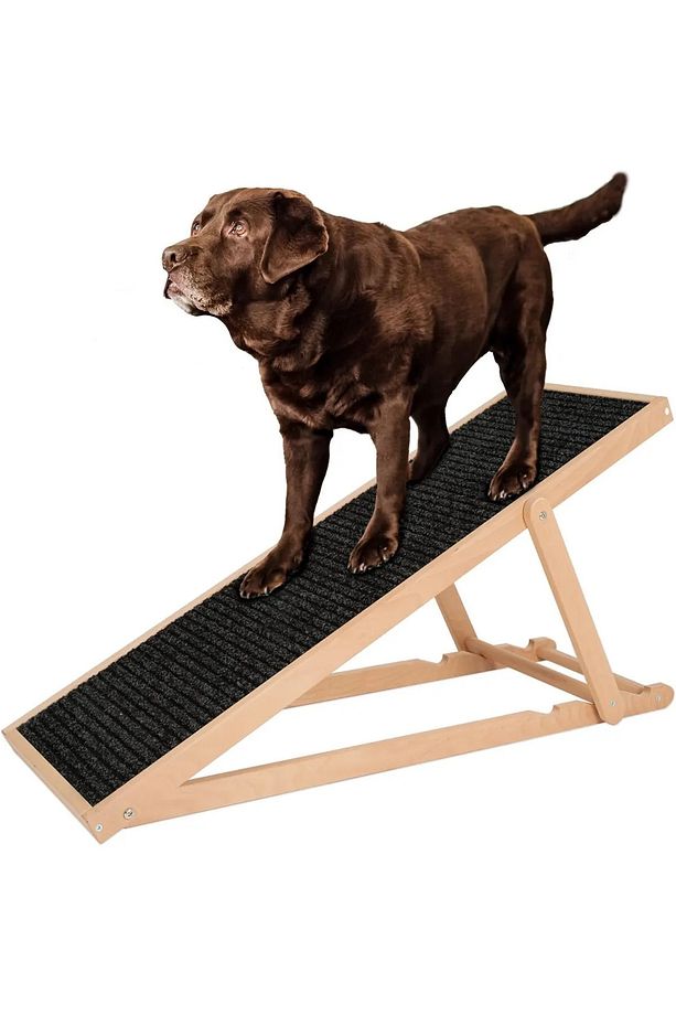 Ayarlanabilir Köpek Rampası Kedi Rampası - Dayanıklı Katlanabilir ve Hijyenik - 3