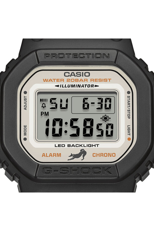 DW-5600SHB-1D - 3