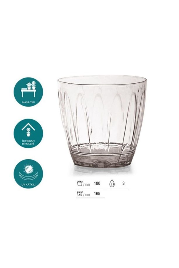 - Orkide Saksısı - Şeffaf Saksı - 3 Lt - 4