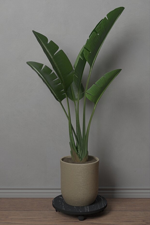 Tekerlekli Pratik Kullanımlı Saksı Altlığı Sebil Altlığı - 1