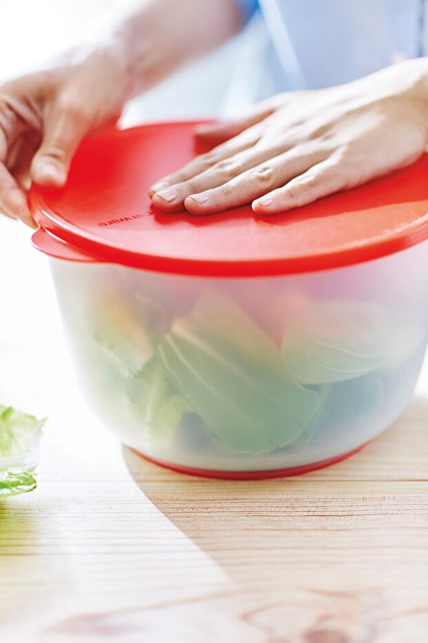 Modern Sebze Kurutucusu 3.9l - 6