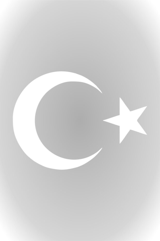 Crescent Star Sticker Turkish Flag Sticker 10 X 7.5 Cm White
