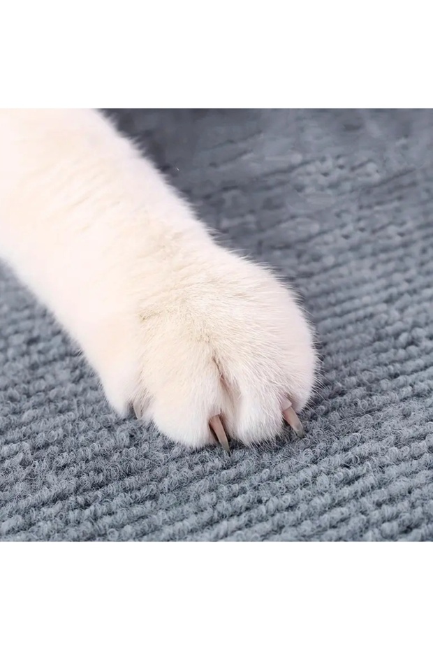 200X50 Cat Scratching Carpet - Self Adhesive Home and Outdoor Protection