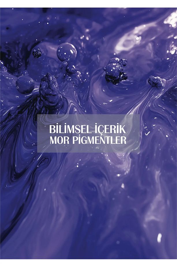 Touch Of Silver Mor Şampuan 503ml -Doreli Saçlara Yönelik/Açık Sarı, Gri ve Beyaz Saçlar İçin - 3
