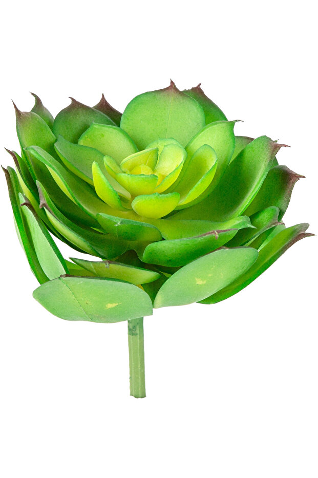 Artificial Eçeverya Succulent Cactus Green 14 Cm.