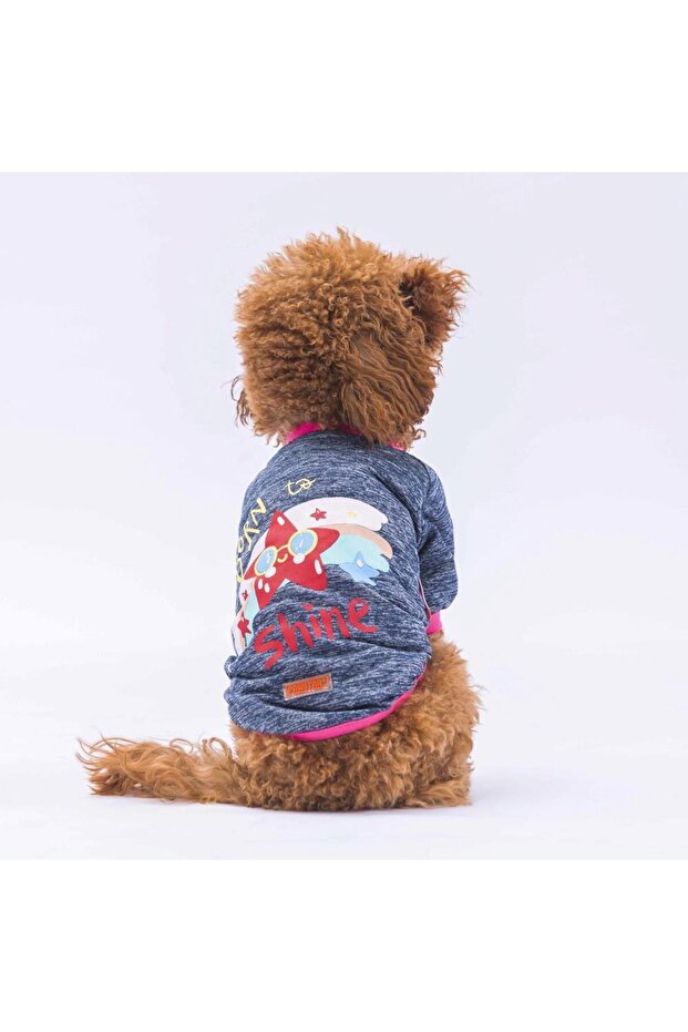 Dark Blue Shine Cat Dog Sweati - Cat Dog Outfit