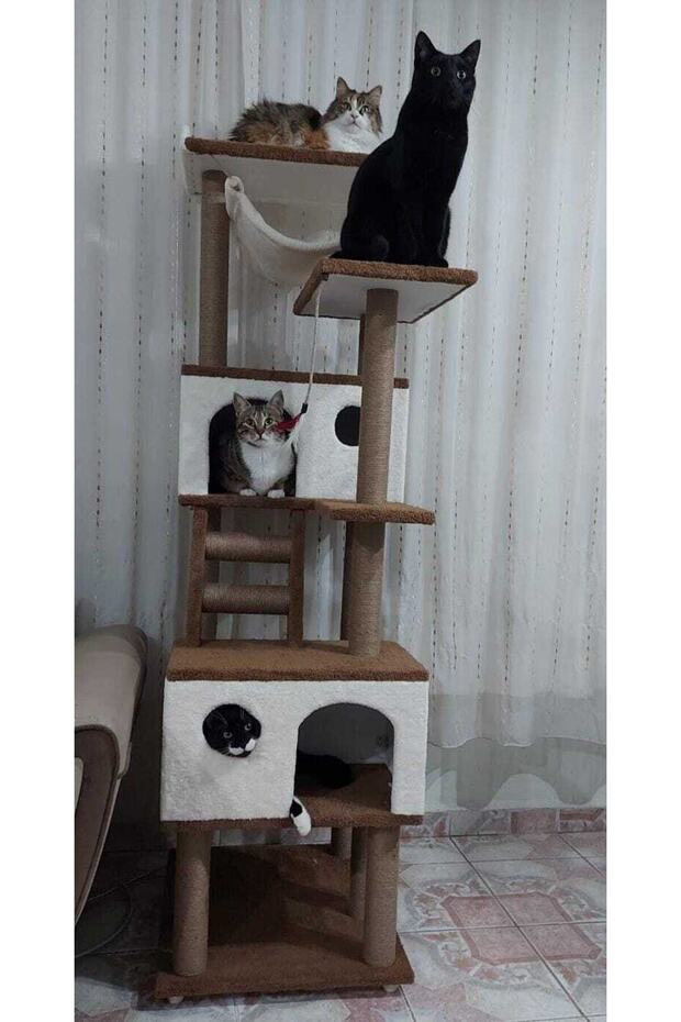 Cat Scratching House and Play Platform 100% Warranty
