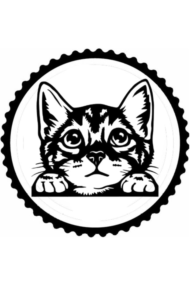 Cat Facing Glass Design Sticker 30 X 30 cm