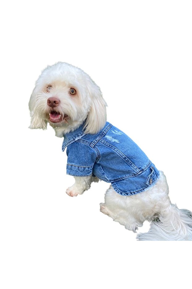 Ceket Köpek Kot Kıyafetı - 4