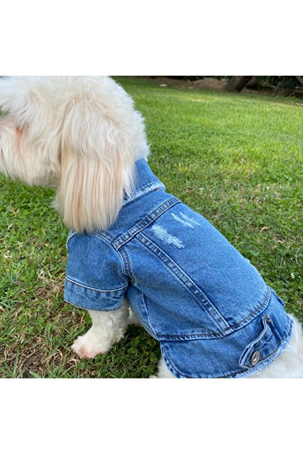 Ceket Köpek Kot Kıyafetı - 5