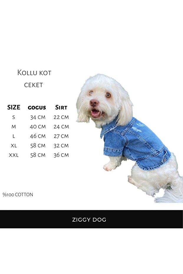 Ceket Köpek Kot Kıyafetı - 6