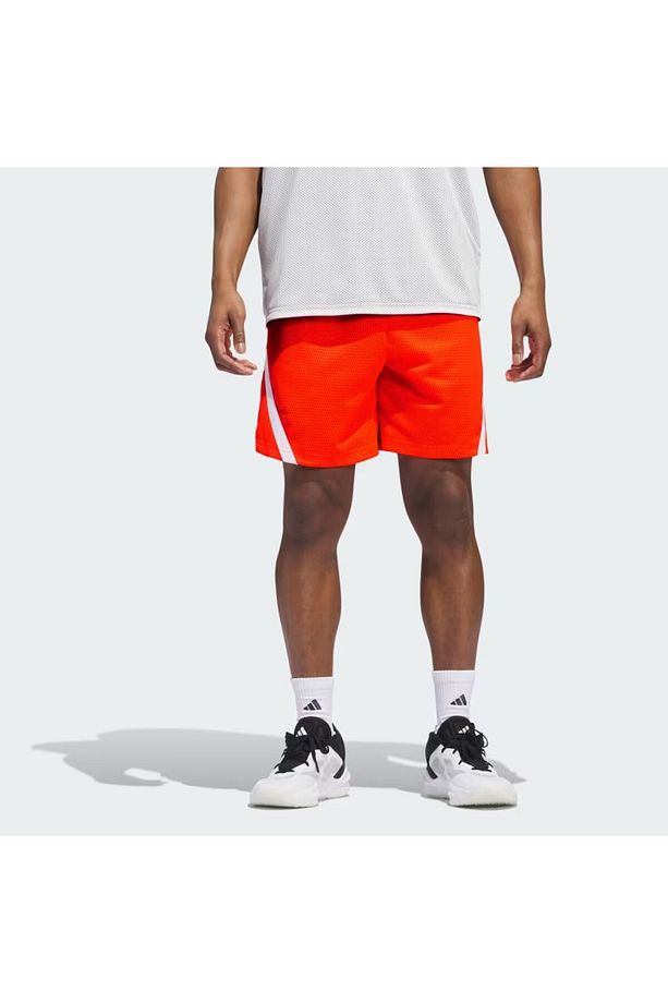 SELECT MESH S - 5