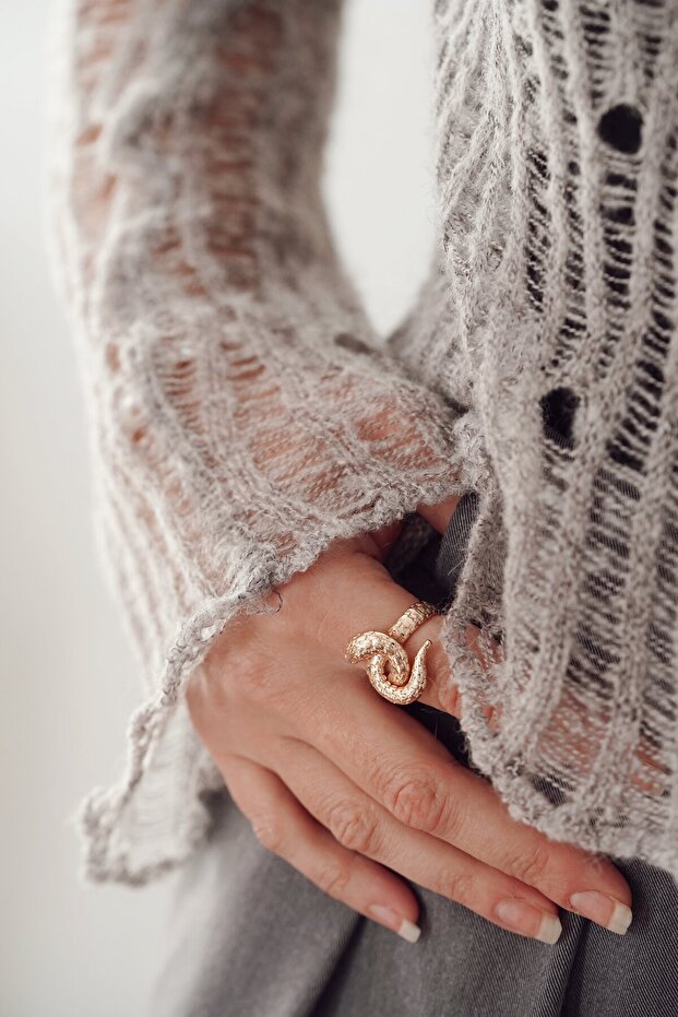 حلقة ثعبان ملفوفة - 1