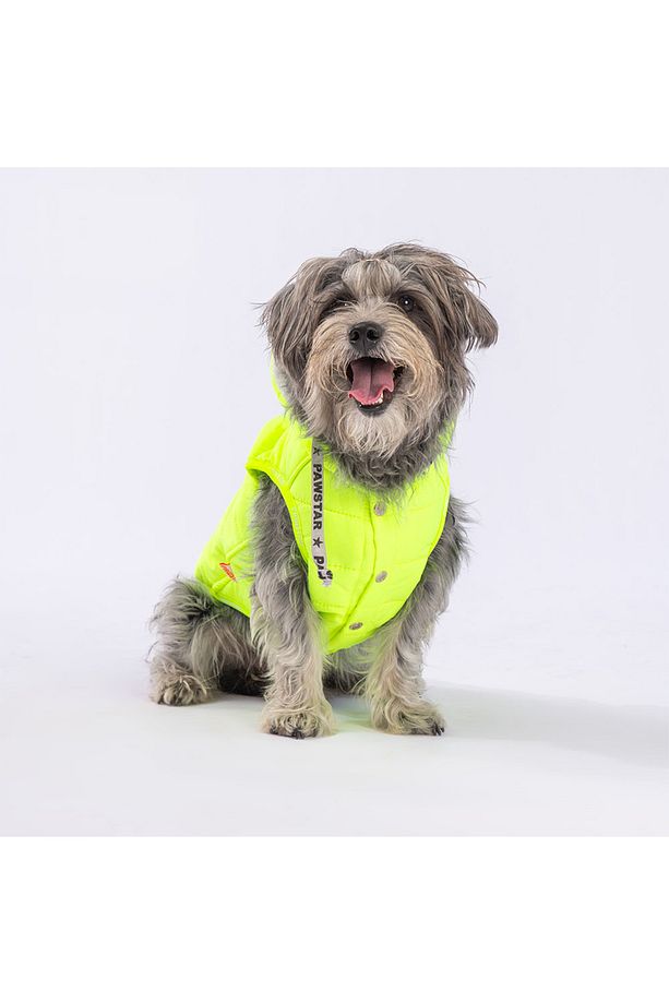Neon Sarı Railway Anorak Yelek Köpek Yeleği Köpek Kıyafeti Köpek Yağmurluk - 2
