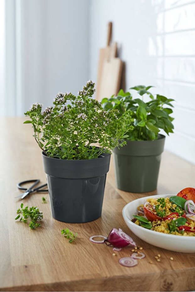 وعاءان للأعشاب، أسود اللون، قطعتان - 1